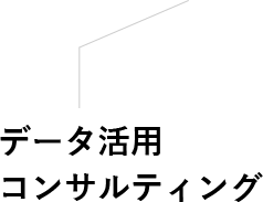 データ活用コンサルティング
